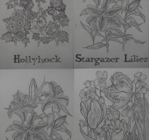 Black and white botanical drawings of flowers