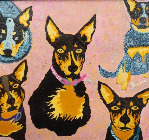 Five dogs - three black and tan Kelpies, and two Blue Heelers - on a pink background