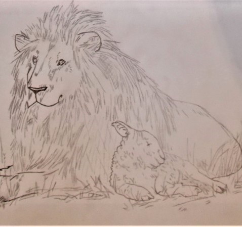 Black and white drawing of a lion and a lamb 