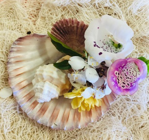 Photograph of a scallop shell and flowers